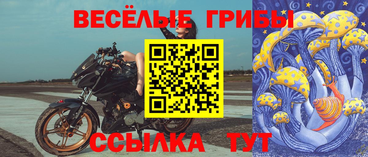 Псилоцибиновые грибы Magic Shrooms  Вход с VPN  Лабытнанги  Галлюциногенные грибы Psilocybine cubensis 
